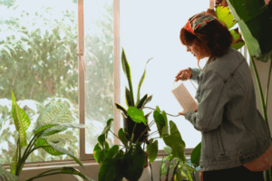 Plantas de Sombra e Sua Importância para o Equilíbrio dos Ecossistema