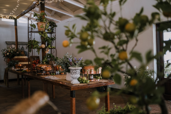 Folhas Amareladas em Plantas de Sombra: O Que Isso Significa e Como Resolver